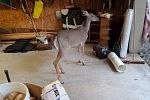 Sale Photo Thumbnail #214