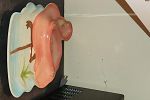 Sale Photo Thumbnail #46