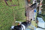 Sale Photo Thumbnail #32