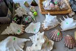 Sale Photo Thumbnail #204