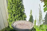 Sale Photo Thumbnail #56