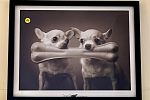 Sale Photo Thumbnail #11