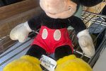 Sale Photo Thumbnail #25