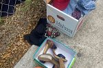 Sale Photo Thumbnail #8