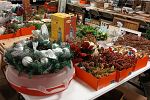 Sale Photo Thumbnail #35
