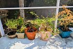 Sale Photo Thumbnail #251