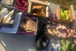 Sale Photo Thumbnail #1