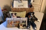 Sale Photo Thumbnail #20