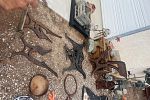 Sale Photo Thumbnail #75