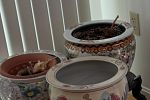 Sale Photo Thumbnail #8