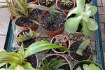 Sale Photo Thumbnail #14