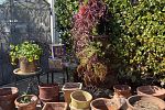 Sale Photo Thumbnail #14