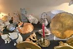 Sale Photo Thumbnail #62