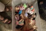 Sale Photo Thumbnail #2