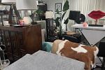 Sale Photo Thumbnail #5