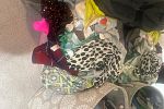Sale Photo Thumbnail #11