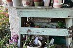 Sale Photo Thumbnail #21