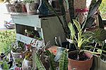 Sale Photo Thumbnail #23