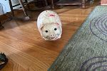 Sale Photo Thumbnail #23