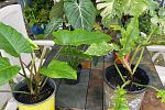 Sale Photo Thumbnail #19