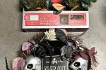 Sale Photo Thumbnail #4