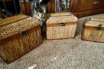 Sale Photo Thumbnail #22