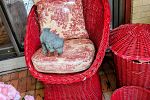 Sale Photo Thumbnail #364