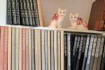 Sale Photo Thumbnail #269