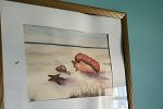 Sale Photo Thumbnail #35