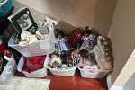 Sale Photo Thumbnail #24