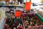 Sale Photo Thumbnail #40