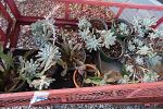 Sale Photo Thumbnail #44