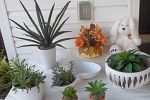 Sale Photo Thumbnail #3