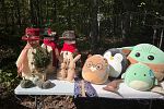 Sale Photo Thumbnail #1