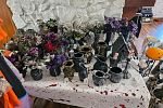 Sale Photo Thumbnail #16