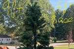 Sale Photo Thumbnail #9