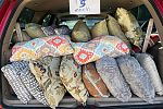 Sale Photo Thumbnail #14