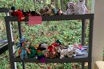 Sale Photo Thumbnail #7
