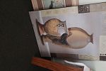 Sale Photo Thumbnail #21