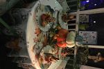 Sale Photo Thumbnail #40