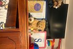 Sale Photo Thumbnail #33
