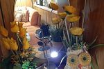 Sale Photo Thumbnail #118