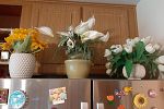 Sale Photo Thumbnail #134