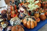 Sale Photo Thumbnail #253
