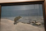 Sale Photo Thumbnail #41
