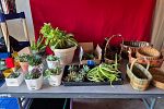 Sale Photo Thumbnail #16