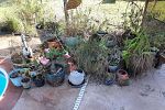 Sale Photo Thumbnail #274