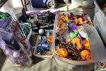 Sale Photo Thumbnail #239