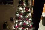 Sale Photo Thumbnail #42