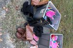 Sale Photo Thumbnail #4